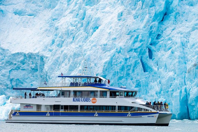 Kenai Fjords National Park Glacier & Wildlife Cruise - Wildlife watching from a moving boat