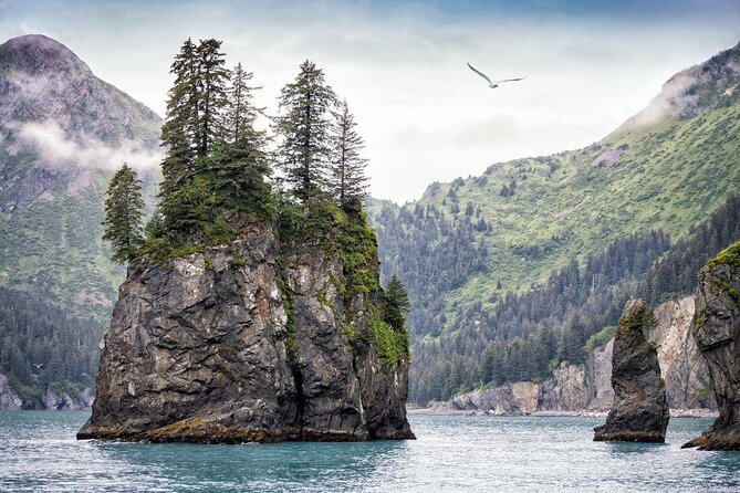 Kenai Fjords National Park Glacier & Wildlife Cruise - The weather and seasickness question
