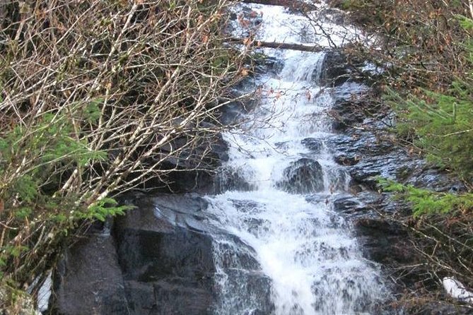Ketchikan All In One - Herring Cove: good odds for birds, uncertain odds for bears