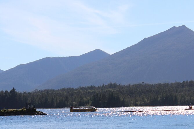 Ketchikan Duck Tour - Ketchikan by road: totem poles, streets, and local stories