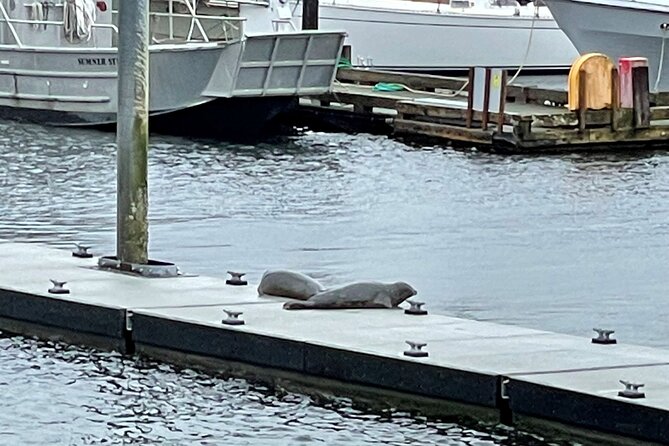 Ketchikan Duck Tour - How much does $79 buy you?