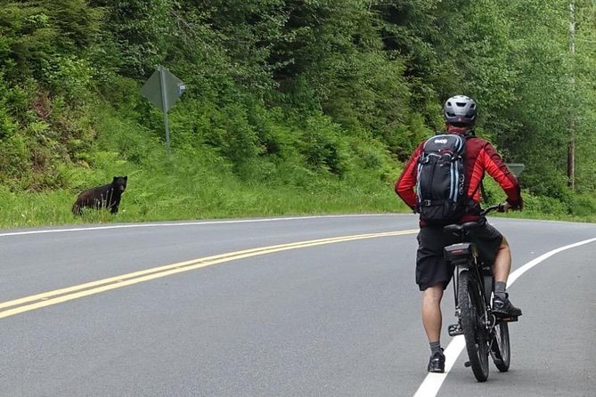 Ketchikan Electric Bike and Rain Forest Hike Ecotour - From the cruise dock to Ketchikan’s Road to Nowhere