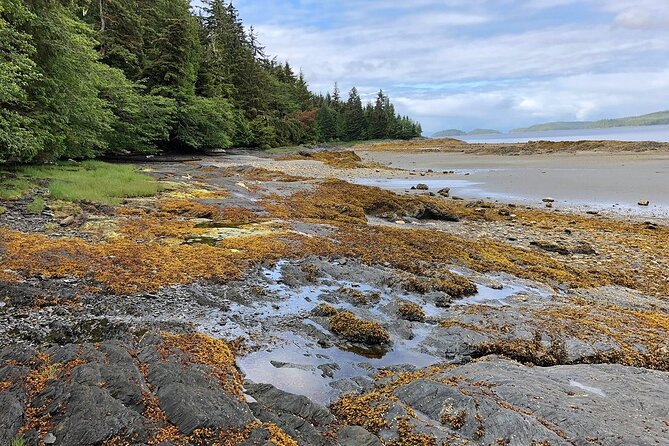 Ketchikan Electric Bike and Rain Forest Hike Ecotour - Snacks, rain gear, and the practical comforts