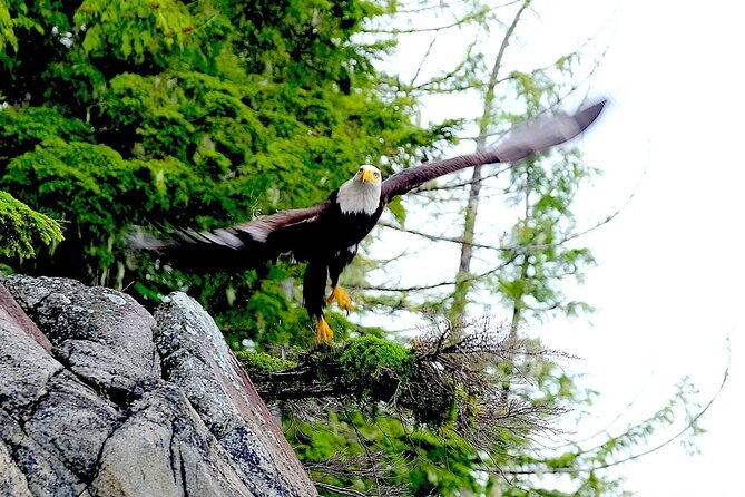 Ketchikan Electric Bike and Rain Forest Hike Ecotour - Group size, pace, and guide quality