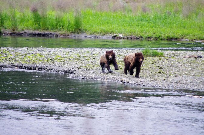 Ketchikan Kayak Eco-Tour - What makes this Ketchikan kayak tour worth considering
