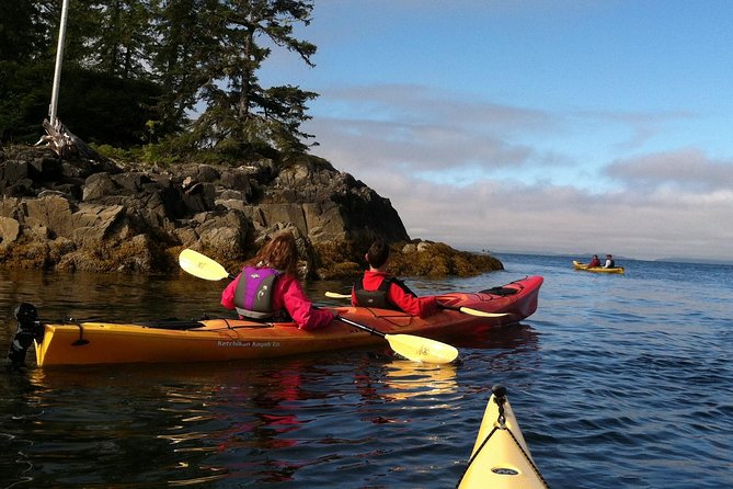 Ketchikan Kayak Eco-Tour - Tide pools and the small life beneath the kayak
