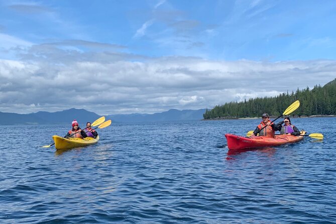 Ketchikan Kayak Eco-Tour - Bald eagles and the island route