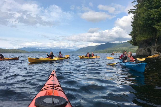 Ketchikan Kayak Eco-Tour - Sea lions, seals, and the chance of whales