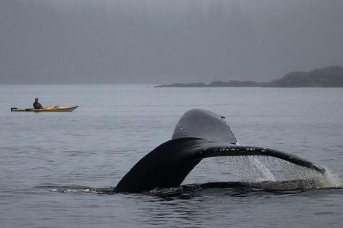 Ketchikan Kayak Eco-Tour - Your kayak and the first paddle strokes