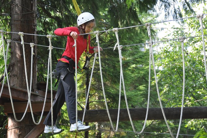 Ketchikan Shore Excursion: Rainforest Canopy Ropes and Zipline Adventure Park - Zipping through Ketchikan’s old cedar forest