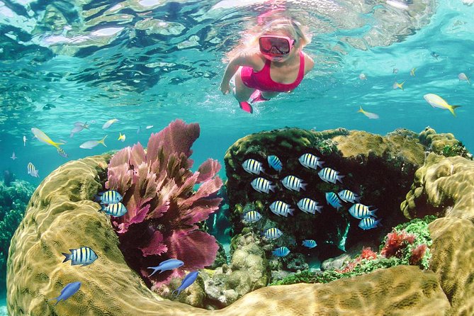 Key Largo Snorkeling Tour - rental mask, fins and vest INCLUDED - What the 2.5-Hour Schedule Really Means