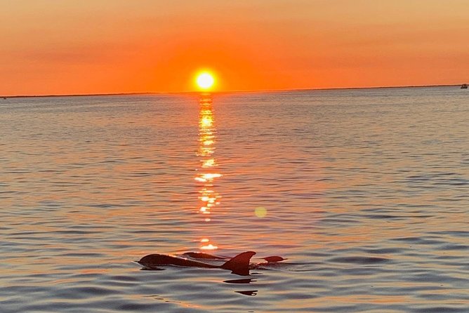 Key Largo Sunset Cruise - Key points to know before you book