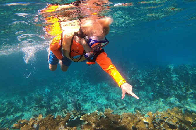 Key Largo Two Reef Snorkel Tour - All Snorkel Equipment Included! - Is the $78 price a good value?