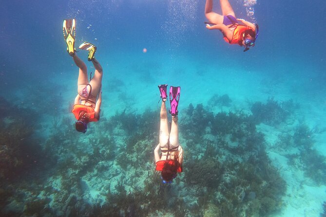 Key Largo Two Reef Snorkel Tour - All Snorkel Equipment Included! - Grecian Rocks and the second reef stop