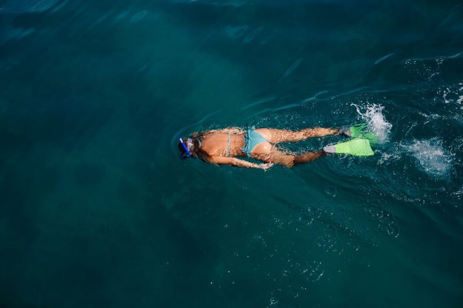 Key West: 3-Hour Afternoon Reef Snorkel with Drinks - What you see around the living coral reef