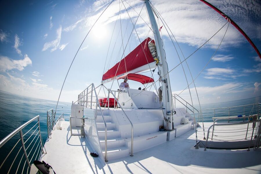 Key West: 3-Hour Afternoon Reef Snorkel with Drinks - Getting ready for your first Key West snorkel