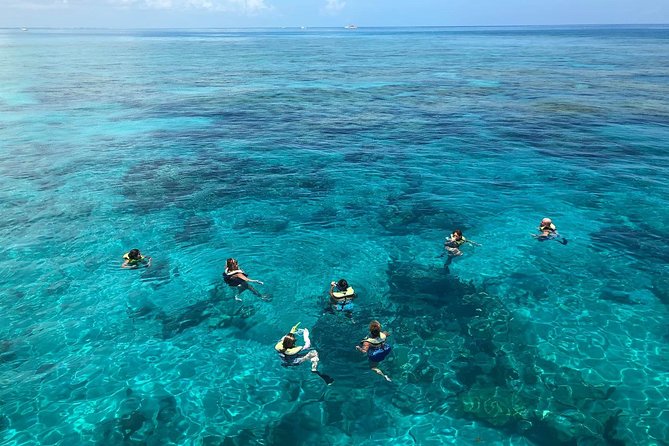 Key West Afternoon Reef Snorkeling with Open Bar - What the reef experience is really like