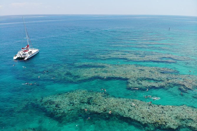 Key West Afternoon Reef Snorkeling with Open Bar - Is $59.95 a good value?
