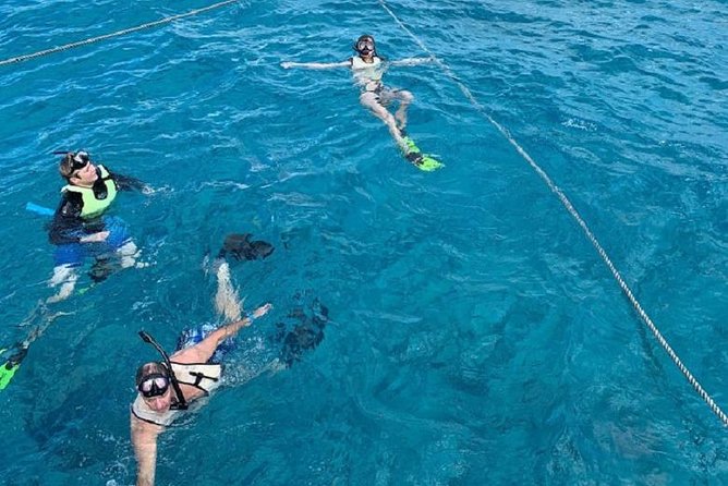 Key West Afternoon Snorkel Sail with Unlimited Cocktails! - What you may see beneath the surface