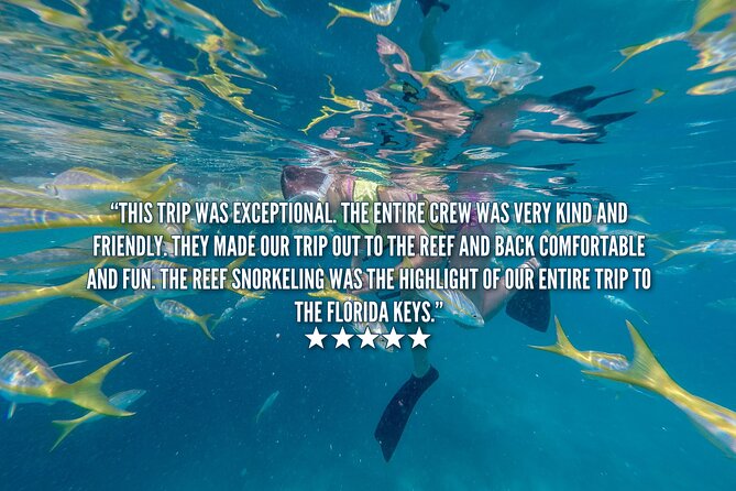 Key West Afternoon Snorkel Sail with Unlimited Cocktails! - The open bar comes after the masks come off