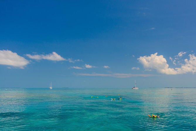 Key West Afternoon Snorkel Sail with Unlimited Cocktails! - Is $59 a good price?