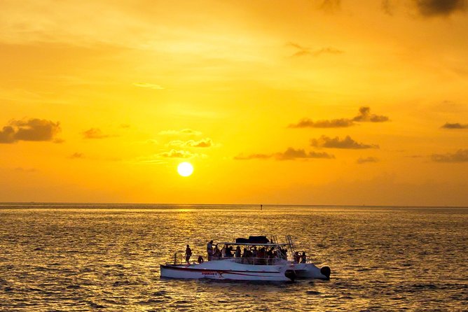 Key West Dolphin and Snorkel Experience - Key details before you book