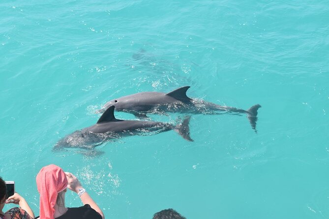 Key West Dolphin and Snorkel Experience - South Beach and the Key West sunset