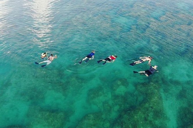 Key West Dolphin and Snorkel Experience - A closer look at the crew
