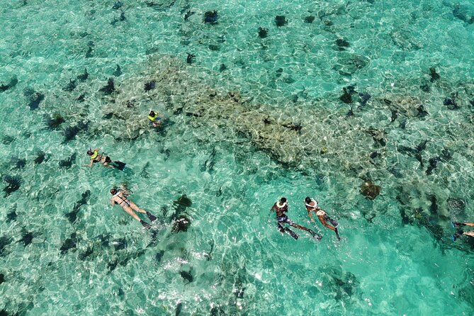 Key West Dolphin and Snorkel Experience - Snorkeling near the Florida Keys National Marine Sanctuary