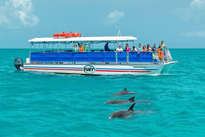 Key West Dolphin Watch and Snorkel Tour - Eco Adventure - What the Gulf snorkel is really like