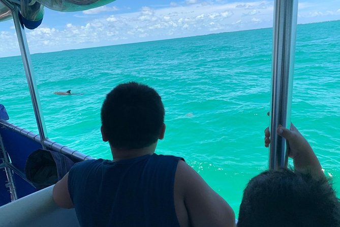Key West Dolphin Watch and Snorkel Tour - Eco Adventure - Drinks, seating, and what to pack