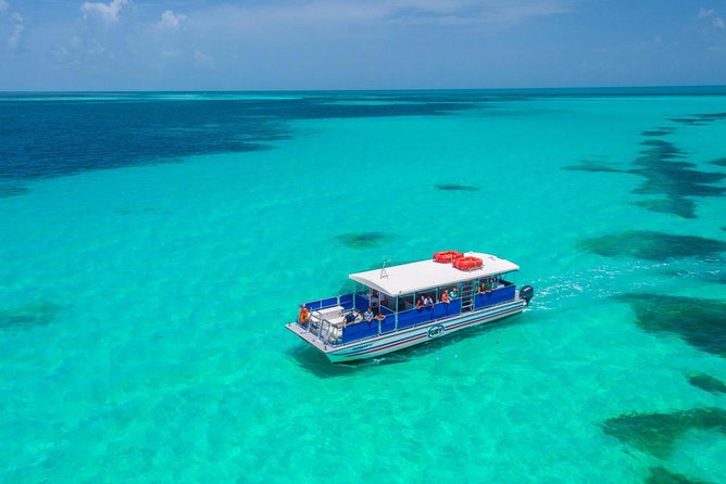 Key West Dolphin Watch and Snorkel Tour - Eco Adventure - Timing, group size, and practical planning