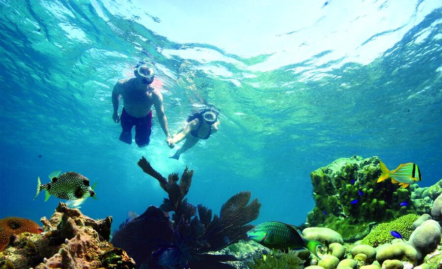 Key West: Dolphin Watching and Snorkeling Eco Cruise Tour - What this three-hour Key West cruise is really like