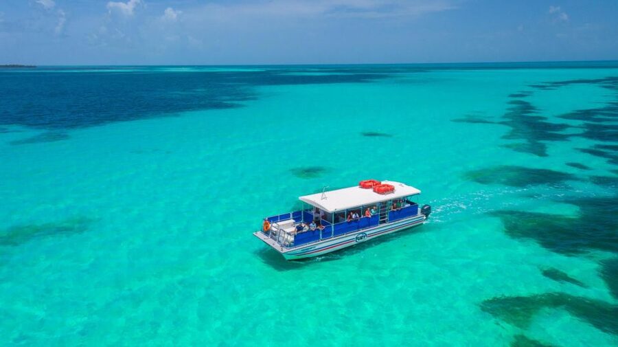 Key West: Dolphin Watching and Snorkeling Eco Cruise Tour - The crew makes a difference