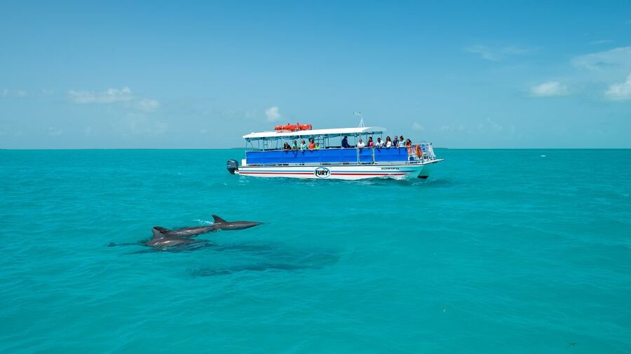 Key West: Dolphin Watching and Snorkeling Eco Cruise Tour - Who should book this trip?