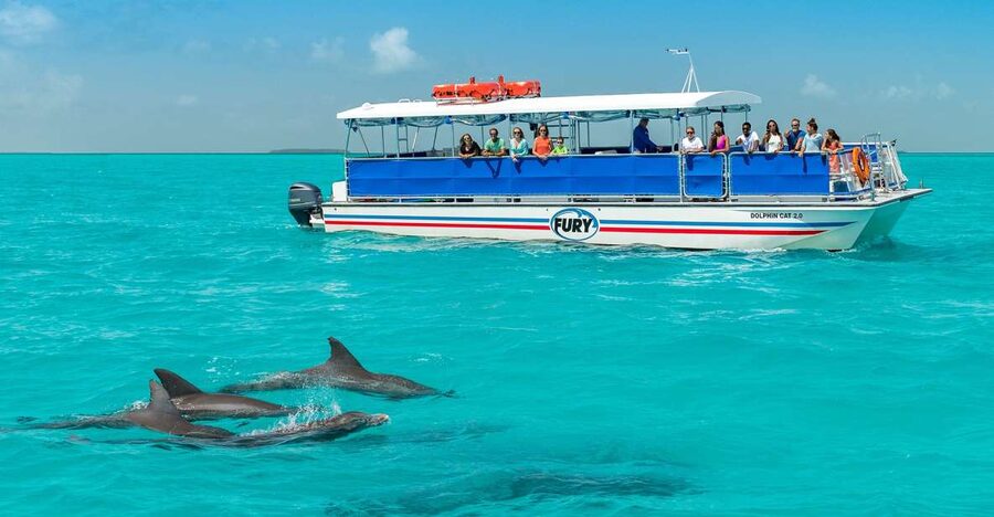 Key West: Dolphin Watching and Snorkeling Eco Cruise Tour - Practical booking advice