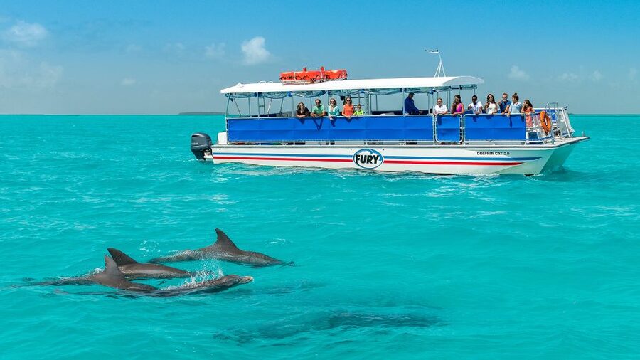 Key West: Dolphin Watching and Snorkeling Eco Cruise Tour - Setting out through the Gulf of Mexico