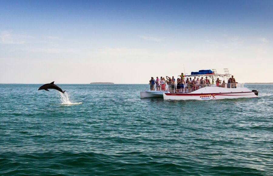 Key West: Dolphin Watching and Snorkeling Sunset Cruise - Should you book it?