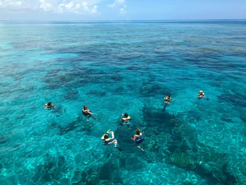 Key West: Dolphin Watching and Snorkeling Sunset Cruise - Crew care is a major part of the value