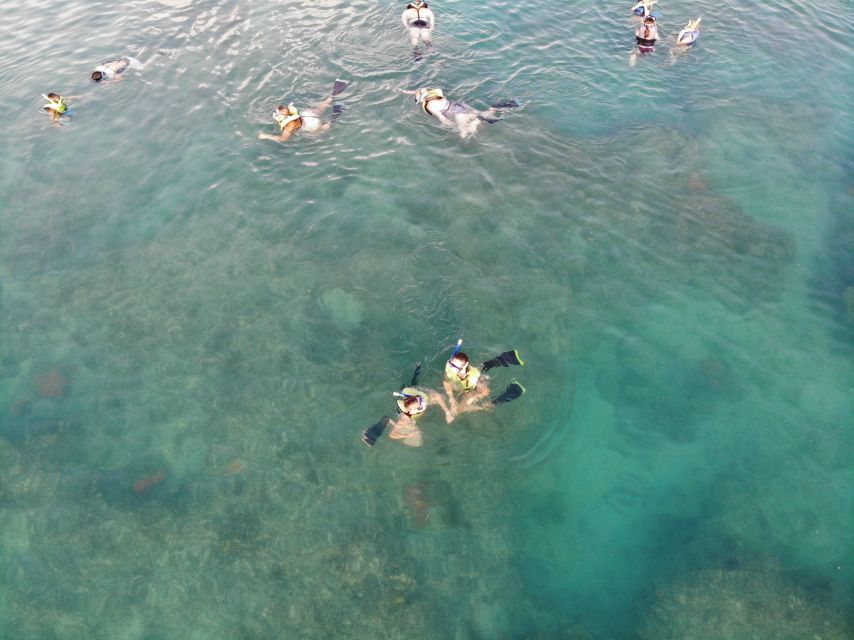 Key West: Dolphin Watching and Snorkeling Sunset Cruise - Is $79 a fair price?