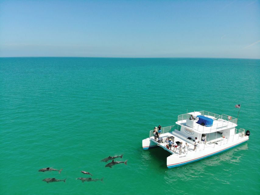 Key West: Dolphin Watching and Snorkeling Sunset Cruise - Searching for dolphins in their natural playground