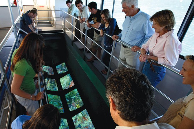 Key West Glass-Bottom Boat Tour with Sunset Option - What you may see below the glass