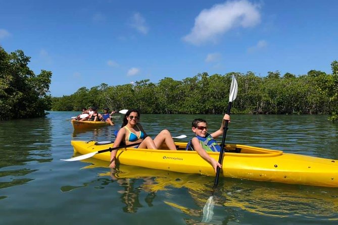 Key West Mangrove Kayak Eco Tour - What the Mangrove Setting Adds to a Key West Day