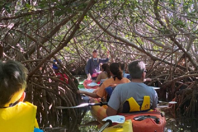 Key West Mangrove Kayak Eco Tour - Learning How the Florida Keys Were Formed