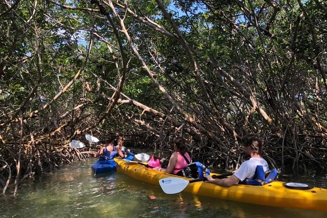 Key West Mangrove Kayak Eco Tour - Getting Comfortable in a Single or Double Kayak