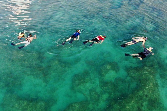 Key West Reef Morning Snorkeling with Breakfast and Mimosas - Weather Matters More Than the Brochure Suggests