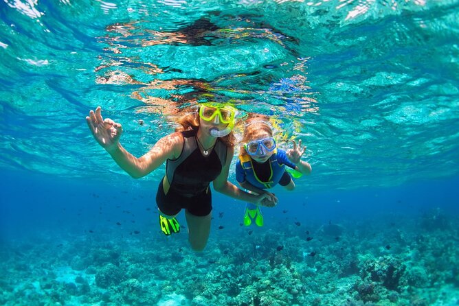 Key West Reef Morning Snorkeling with Breakfast and Mimosas - Equipment, Comfort, and Crowd Size