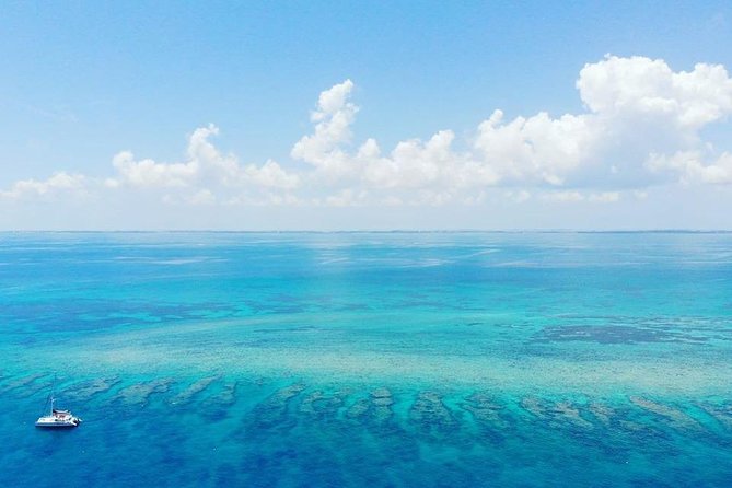 Key West Reef Morning Snorkeling with Breakfast and Mimosas - Is $35 a Good Deal?