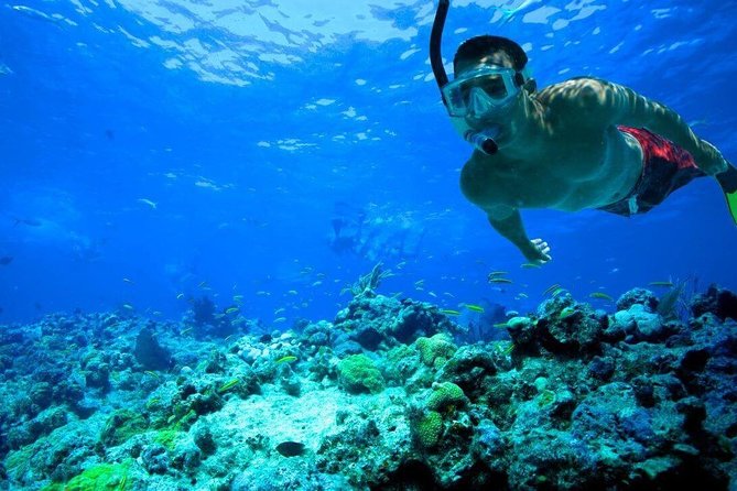 Key West Reef Snorkel – Morning Mimosas or Afternoon Margaritas - The crew, safety, and comfort level