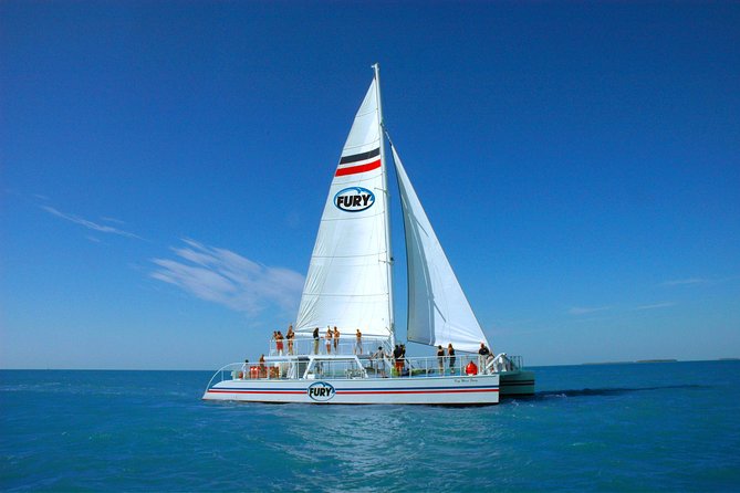 Key West Reef Snorkel – Morning Mimosas or Afternoon Margaritas - How much value you get for $34.95
